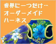 オーダーメイドハーネス