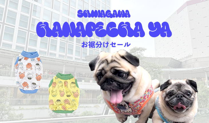 品川HANAPECHA YAお裾分けセール