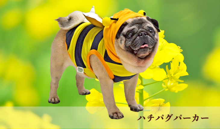 ハチパグパーカー