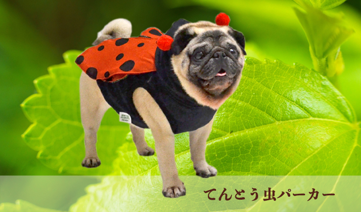 てんとう虫パーカー