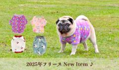 2025年フリースNew Item♪
